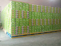 大型百貨倉庫倉儲(chǔ)防潮墊板+貨物搬運(yùn)叉車托盤 自由定制尺寸組合式托盤